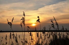 Doar ... NATURA - 4